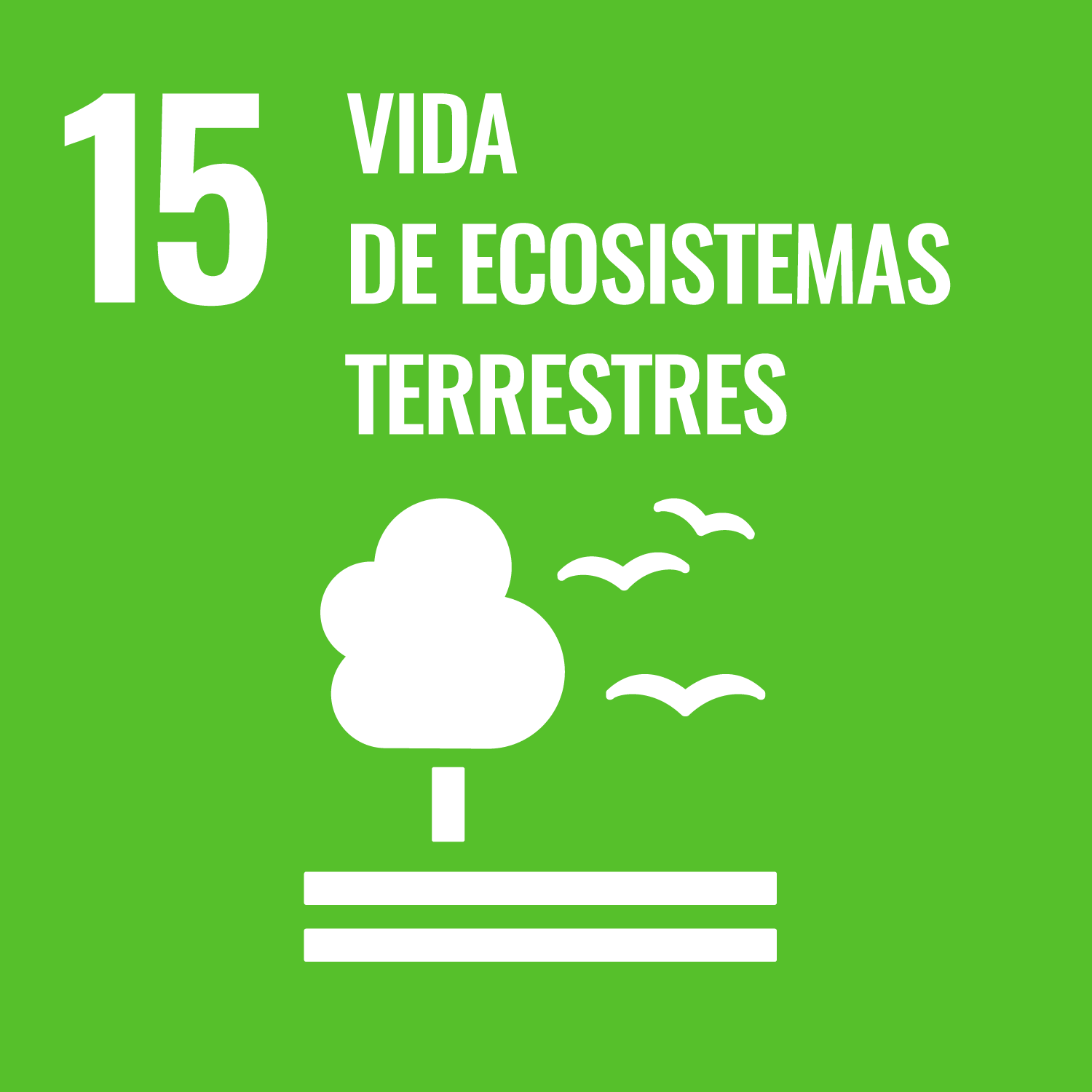 ODS 15: Vida de ecosistemas