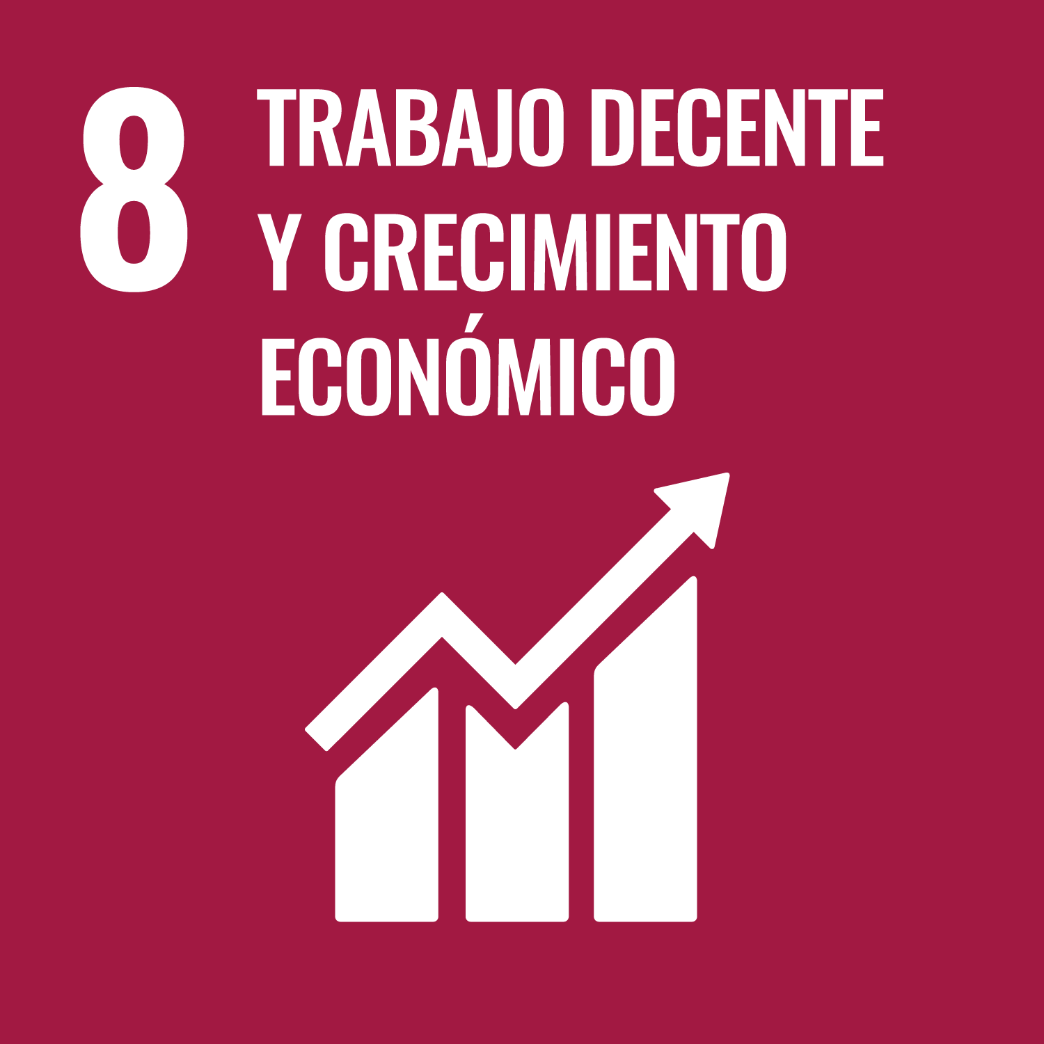 ODS 8: Trabajo Decente